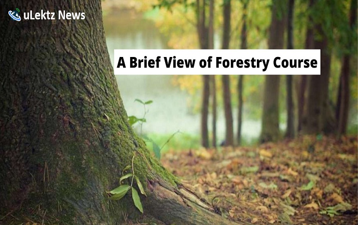 A Brief View of Forestry Course